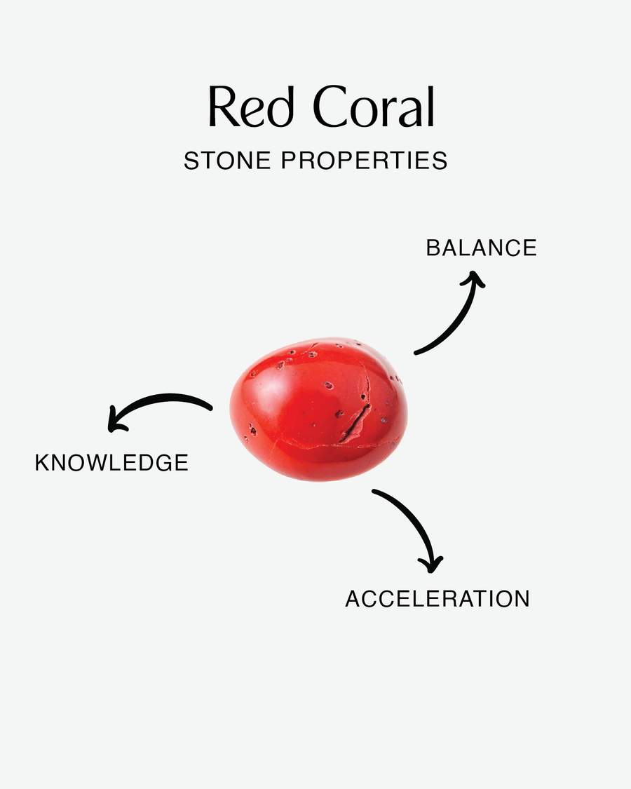 Red Coral Bracelet | Silver